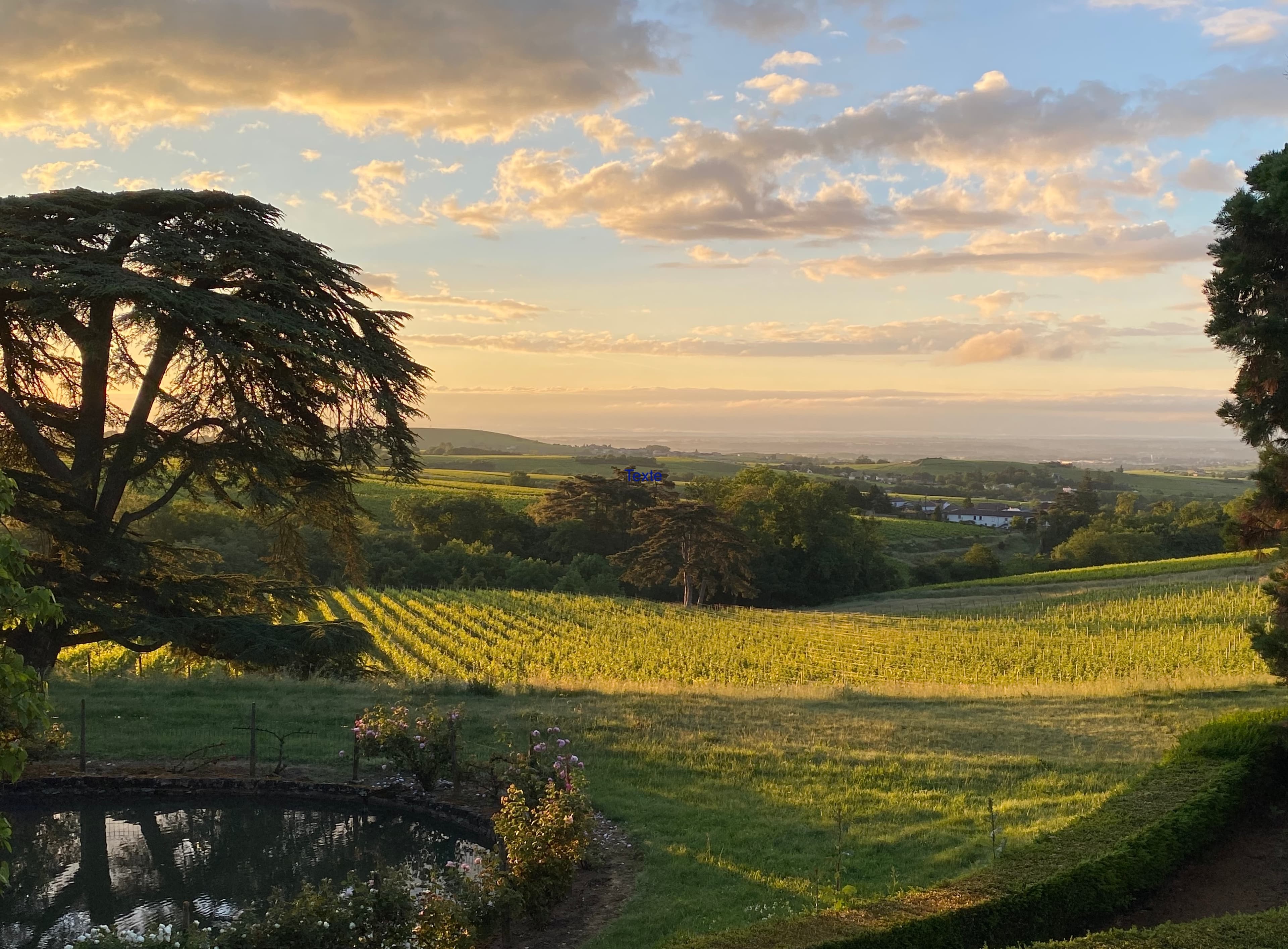Château de la Bourdonnière